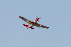 P-51D Mustang ″Red Tail″ V8 - ARF