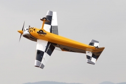 Extra NG 1970mm ARF (žluto-stříbrná)