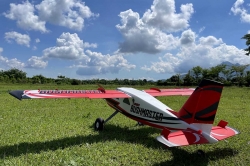 Turbo Bushmaster 1830mm ARF w/ LED (Red)