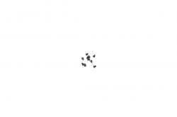 Skrutka s guľatou hlavou M2.5x4x1.5mm (10ks) HSP-51234