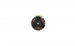 Xerun V10 13.5T G5 Brushless Motor