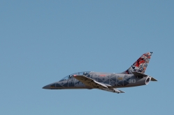 Kavan L-39 Skyfox 1088mm ARF (šedý)