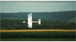 Multiplex BK+ Funnystar