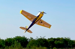 Extra NG 2.64m ARF (Gold)