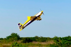 Extra NG 2.64m ARF (Gold)