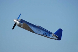 Yak 11 Reno Racer 1,8m ARF, Czech Mate (zatahovací podvozek)