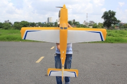 Seagull Piper Cherokee 1.53m (Yellow)