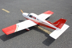 Seagull Piper Cherokee Warrior II 2.21m