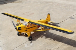 Piper J-3 Cub 2,24 SEA74N